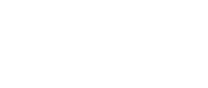Bixomi-Logo-REF-R1